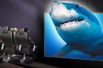 Shark Screen